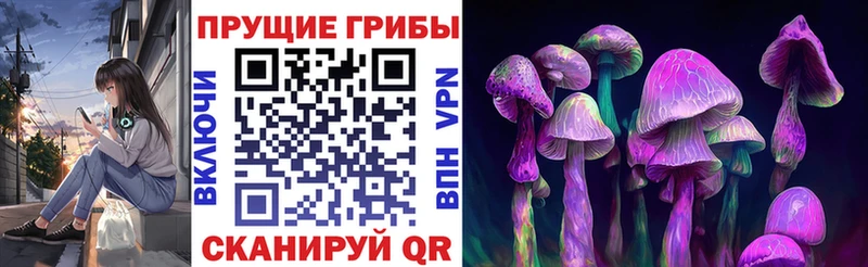 продажа наркотиков  Гороховец  Псилоцибиновые грибы Psilocybe 